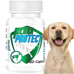 Game Dog Flora Protect, Verdauung, Hunde, Durchfall , Verstopfung