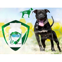 Game Dog Flora Protect, Verdauung, Hunde, Durchfall , Verstopfung