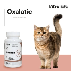 Lab-v , Oxalatic, Harn, Oxalatsteinen