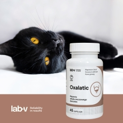 Lab-v , Oxalatic, Harn, Oxalatsteinen