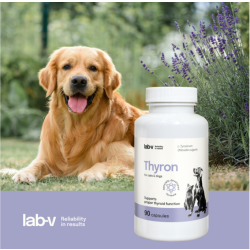 Lab-V Thyron