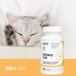 Lab-V Urinary Cat, Schutz der Harnwege