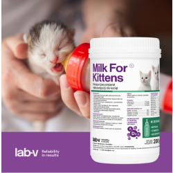 Lab-v Milch für Kätzchen – Vollwertiger Milchersatz für Kitten inkl. Flasche, 200 g