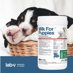 Lab-v Milch für Welpen – Vollwertiger Milchersatz für Hunde inkl. Flasche, 200 g