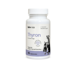 Lab-v Thyron, Schilddrüsenfunktion, Hunde und Katzen