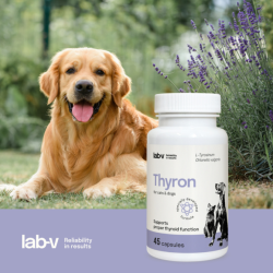 Lab-v Thyron, Schilddrüsenfunktion, Hunde und Katzen