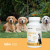 Lab-V Urinary Dog, Glucosamin, Harnwegsinfektion